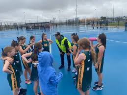 Image result for Eagles Netball Club