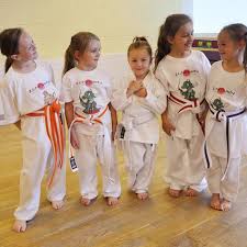 Image result for Zen Shin Seicho Do Adult Karate