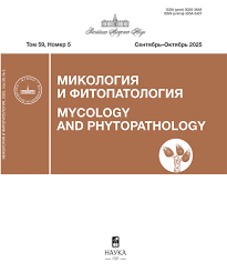 Attēlu rezultāti vaicājumam “Paradiacheopsis rigida spores”