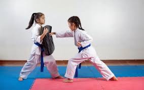 Image result for Association Of Sport Martial Arts