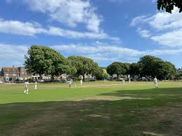 Image result for Nazeing Common Cricket Club
