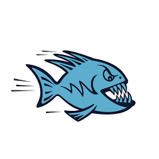 Image result for Sawston Piranhas Octopush Club