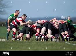 Image result for Frome Rugby Football Club