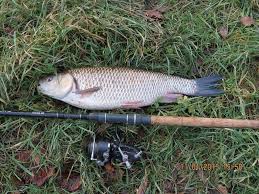 Image result for Plough Angling Society