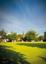 Image result for Southborough Cricket Club