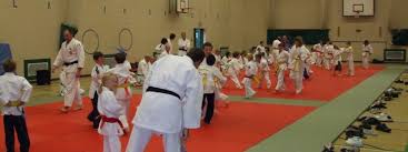 Image result for Ashby Ivanhoe Judo Club