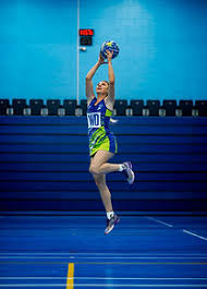 Image result for Ribble Valley Netball Club