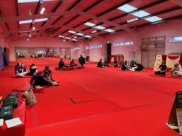 Image result for Suki Aerobic Gymnastics Club