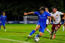 Image result for Box Hill SC