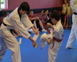 Image result for National Forest Taekwon-do