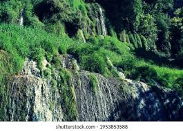 「parque los chor」の画像検索結果