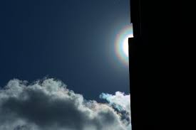 Attēlu rezultāti vaicājumam “pollen corona”