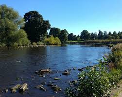 Image result for Chester-Le-Street & District Athletics Club