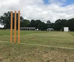 Image result for Timsbury Cricket Club