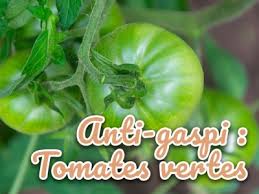 Afbeeldingsresultaat voor grubbs mystery green tomato