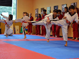 Image result for Skillz Martial Arts