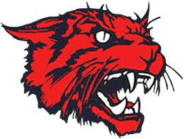 Image result for West London Wildcats