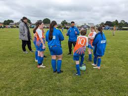 Image result for Hilton Harriers Fc