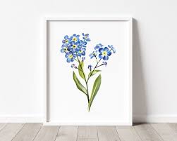 Image result for Vergissmeinnicht