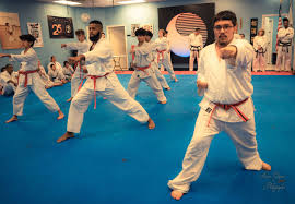 Image result for South Bank Taekwondo
