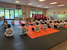 Image result for Martial Arts University Charlotte