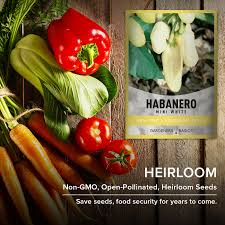 Afbeeldingsresultaat voor white habanero hot pepper