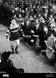 Image result for Cardiff Harlequins