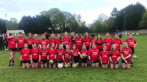 Image result for Rostrevor Hurling Club