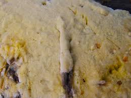 Attēlu rezultāti vaicājumam “Gloeoporus pannocinctus”