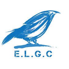 Image result for North East London Gymnastics Club