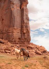 Image result for monument valley