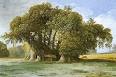 Hundred Horse Chestnut - Wikipedia, the free encyclopedia