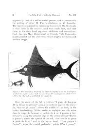 Image result for Makaira nigricans