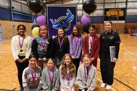 Image result for Phoenix Netball Club