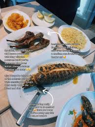 Image result for Llanelli Octopush Club