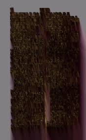 Attēlu rezultāti vaicājumam “Retinia resinella pupa”