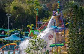 Image result for rosa aquatica