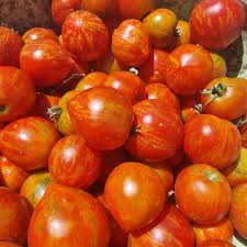 Afbeeldingsresultaat voor oranje van goeienbier tomato