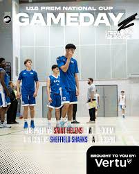 Image result for Sheffield Blazers