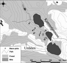 Attēlu rezultāti vaicājumam “Barbilophozia lycopodioides macro”