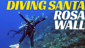 Resultado de imagen para cozumel dive