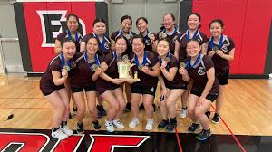 Image result for Borden Social Badminton Club