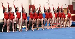 Image result for Sankey Springers Gymnastics Club
