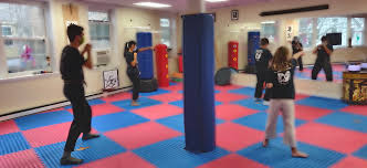 Image result for New Path Martial Arts Academy