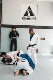 Image result for AAZENTAI JU JITSU