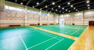 Image result for Halwill Badminton Club