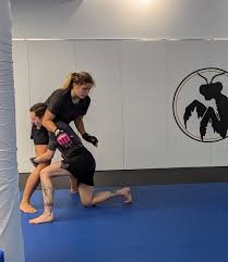 Image result for Precision Martial Arts
