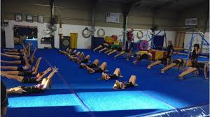 Image result for Brumby Gymnastics Club