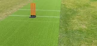Image result for Willey Wanderers Cricket Club