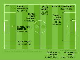 Image result for Pitch marking blog